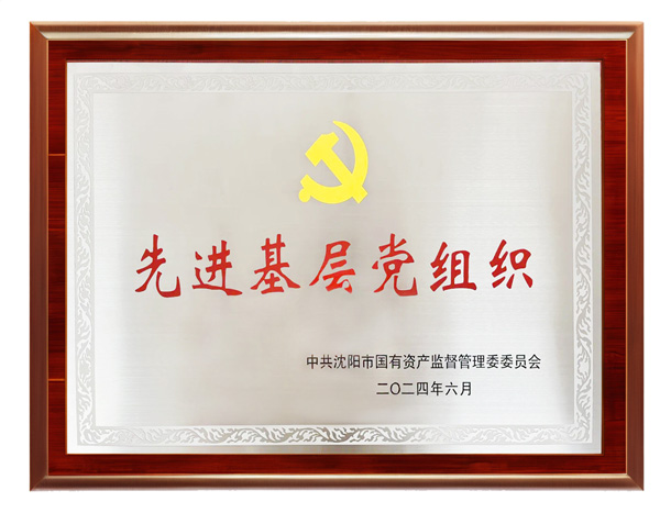 先进基层党组织——2024城投集团党委